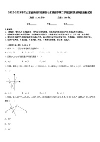 2022-2023学年山东省淄博市临淄区七年级数学第二学期期末质量跟踪监视试题含答案