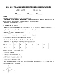 2022-2023学年山东省菏泽市郓城县数学七年级第二学期期末达标检测试题含答案