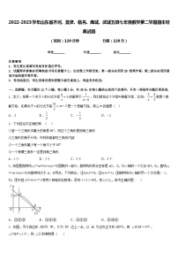 2022-2023学年山东省齐河、夏津、临邑、禹城、武城五县七年级数学第二学期期末经典试题含答案