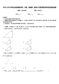 2022-2023学年山东省青岛李沧、平度、西海岸、胶州七下数学期末教学质量检测试题含答案