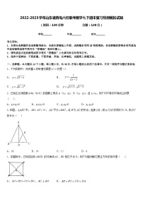 2022-2023学年山东省青岛六校联考数学七下期末复习检测模拟试题含答案