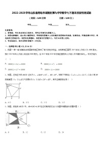 2022-2023学年山东省青岛市城阳区第九中学数学七下期末质量检测试题含答案