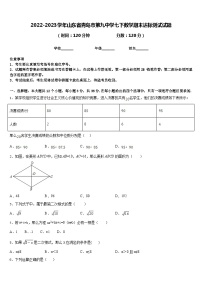 2022-2023学年山东省青岛市第九中学七下数学期末达标测试试题含答案