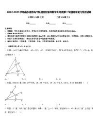 2022-2023学年山东省青岛市局属四校联考数学七年级第二学期期末复习检测试题含答案