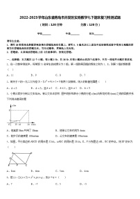 2022-2023学年山东省青岛市开发区实验数学七下期末复习检测试题含答案