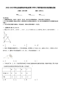 2022-2023学年山东省青岛市崂山区第三中学七下数学期末综合测试模拟试题含答案