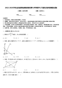 2022-2023学年山东省青岛西海岸新区第七中学数学七下期末达标检测模拟试题含答案