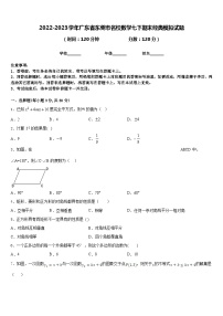 2022-2023学年广东省东莞市名校数学七下期末经典模拟试题含答案