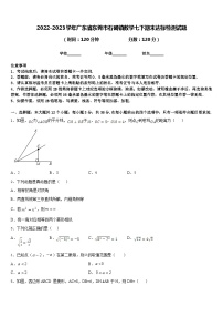 2022-2023学年广东省东莞市石碣镇数学七下期末达标检测试题含答案