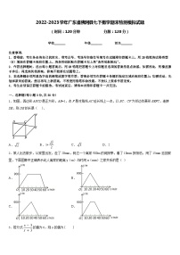 2022-2023学年广东省佛冈县七下数学期末检测模拟试题含答案