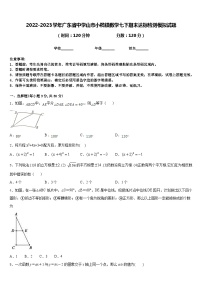 2022-2023学年广东省中学山市小榄镇数学七下期末达标检测模拟试题含答案