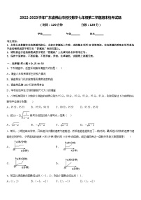 2022-2023学年广东省佛山市名校数学七年级第二学期期末统考试题含答案