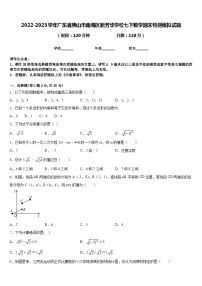 2022-2023学年广东省佛山市南海区新芳华学校七下数学期末检测模拟试题含答案