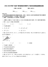 2022-2023学年广东省广州市荔湾区统考数学七下期末质量跟踪监视模拟试题含答案