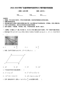 2022-2023学年广东省华师附中实验学校七下数学期末检测试题含答案