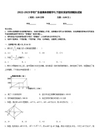 2022-2023学年广东省惠来县数学七下期末质量检测模拟试题含答案