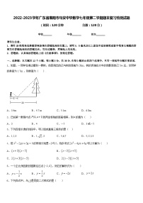 2022-2023学年广东省惠阳市马安中学数学七年级第二学期期末复习检测试题含答案