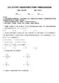 2022-2023学年广东省实验中学数学七年级第二学期期末达标测试试题含答案