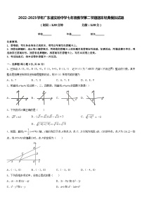 2022-2023学年广东省实验中学七年级数学第二学期期末经典模拟试题含答案