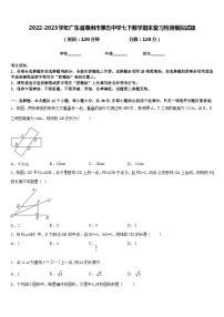 2022-2023学年广东省惠州市第五中学七下数学期末复习检测模拟试题含答案