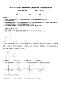 2022-2023学年广东省横沥中学七年级数学第二学期期末联考试题含答案