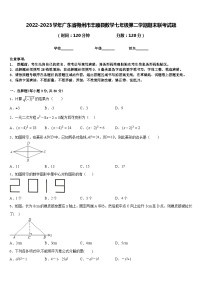 2022-2023学年广东省梅州市丰顺县数学七年级第二学期期末联考试题含答案