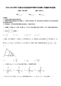 2022-2023学年广东省汕头市龙湖实验中学数学七年级第二学期期末考试试题含答案