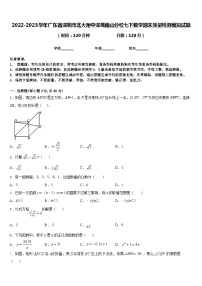 2022-2023学年广东省深圳市北大附中深圳南山分校七下数学期末质量检测模拟试题含答案