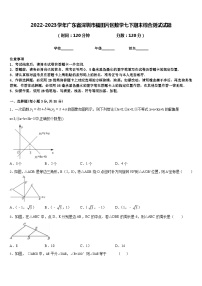 2022-2023学年广东省深圳市福田片区数学七下期末综合测试试题含答案