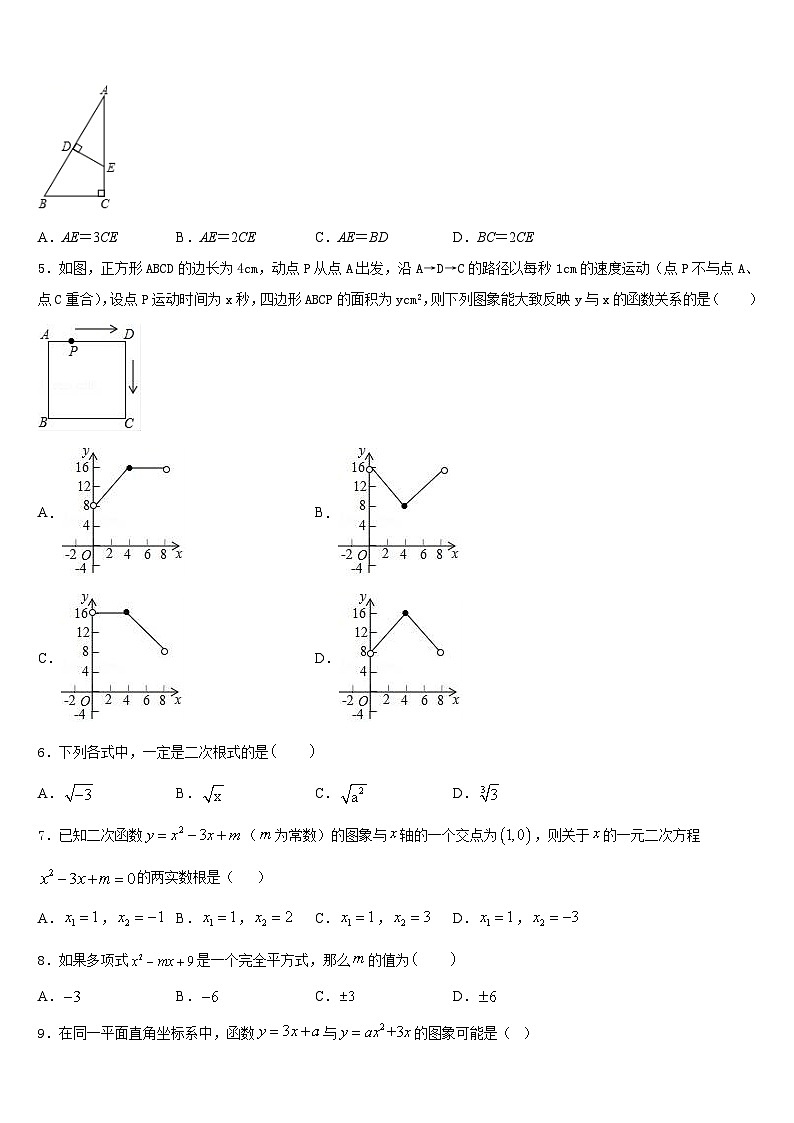 2022-2023学年广东省深圳市高级中学七年级数学第二学期期末质量检测试题含答案第2页