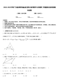 2022-2023学年广东省深圳市南山区北师大附中数学七年级第二学期期末达标检测模拟试题含答案