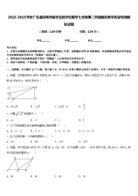 2022-2023学年广东省深圳市耀华实验学校数学七年级第二学期期末教学质量检测模拟试题含答案