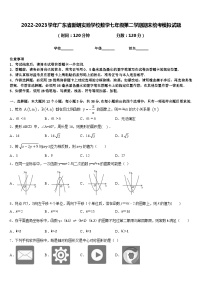 2022-2023学年广东省新朗实验学校数学七年级第二学期期末统考模拟试题含答案