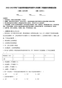 2022-2023学年广东省深圳外国语学校数学七年级第二学期期末经典模拟试题含答案