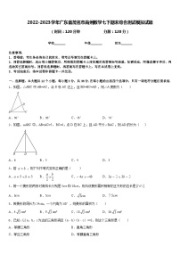 2022-2023学年广东省茂名市高州数学七下期末综合测试模拟试题含答案