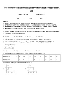 2022-2023学年广东省深圳市龙岗区龙城初级中学数学七年级第二学期期末检测模拟试题含答案