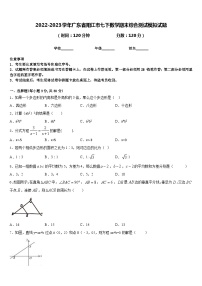 2022-2023学年广东省阳江市七下数学期末综合测试模拟试题含答案