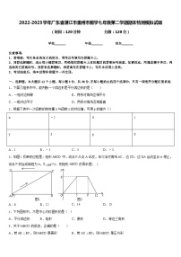 2022-2023学年广东省湛江市雷州市数学七年级第二学期期末检测模拟试题含答案