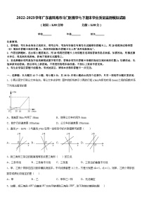 2022-2023学年广东省珠海市斗门区数学七下期末学业质量监测模拟试题含答案