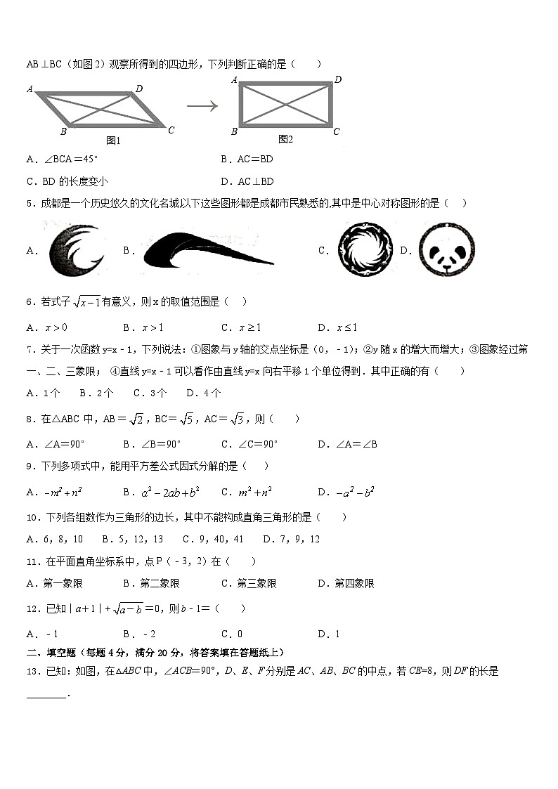 2022-2023学年广西北流、陆川、容县数学七年级第二学期期末质量检测试题含答案02