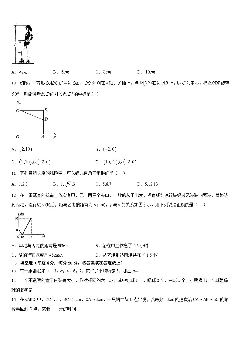 2022-2023学年广西北流市七下数学期末检测模拟试题含答案03