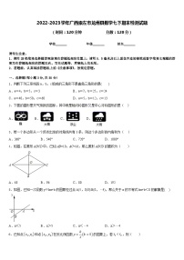 2022-2023学年广西崇左市龙州县数学七下期末检测试题含答案