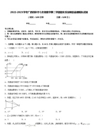 2022-2023学年广西桂林市七年级数学第二学期期末质量跟踪监视模拟试题含答案