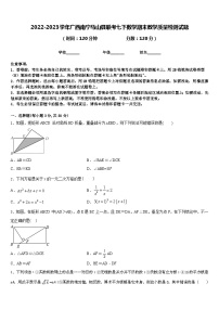 2022-2023学年广西南宁马山县联考七下数学期末教学质量检测试题含答案