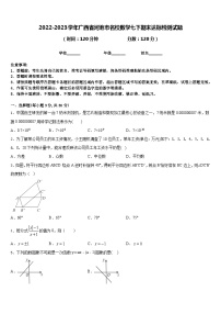 2022-2023学年广西省河池市名校数学七下期末达标检测试题含答案