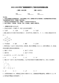 2022-2023学年广西田阳县数学七下期末质量检测模拟试题含答案