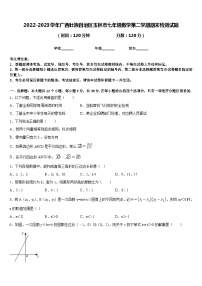 2022-2023学年广西壮族自治区玉林市七年级数学第二学期期末检测试题含答案