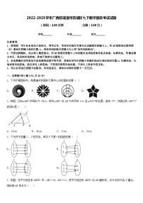 2022-2023学年广西防城港市防城区七下数学期末考试试题含答案