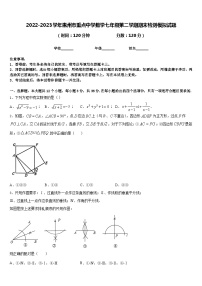 2022-2023学年惠州市重点中学数学七年级第二学期期末检测模拟试题含答案