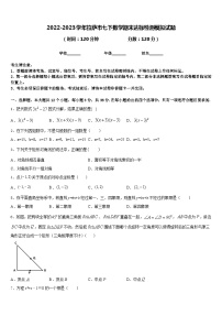 2022-2023学年拉萨市七下数学期末达标检测模拟试题含答案